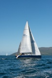 sapphire gbr7999n whyw22 sun 800_1950yi